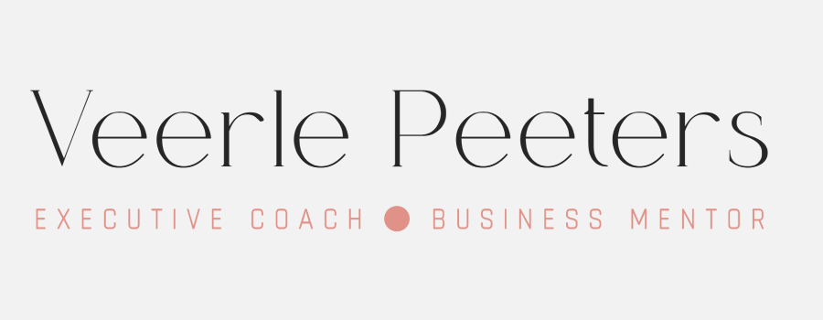Thumbnail of Veerle Peeters' website